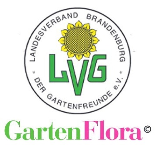 Verbandsinformationen Brandenburger GartenFlora 12/2024