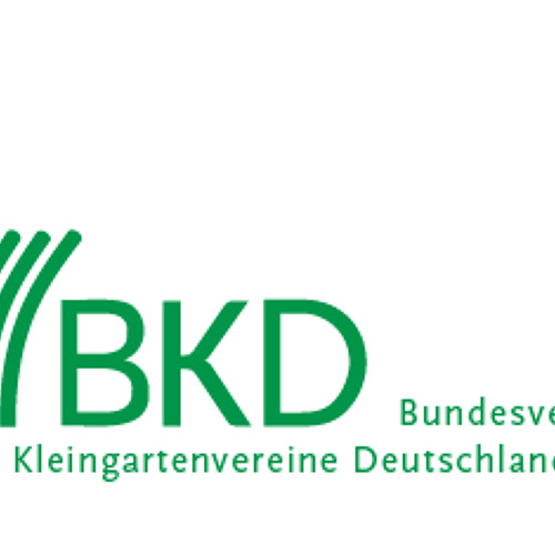 BKD informiert 12/2024